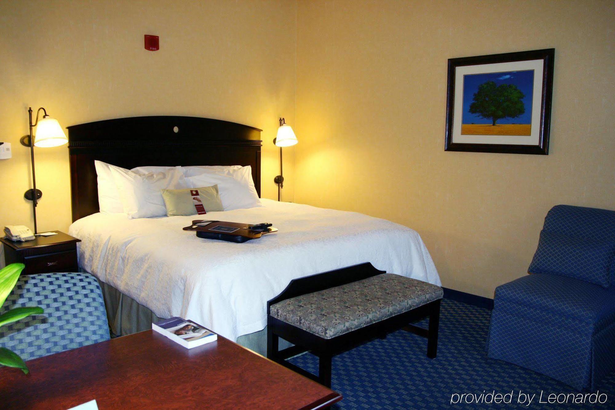 Hampton Inn Maysville Værelse billede
